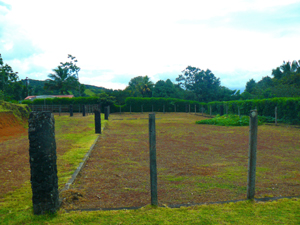 One of the two available lots will take up much of the former show ring.